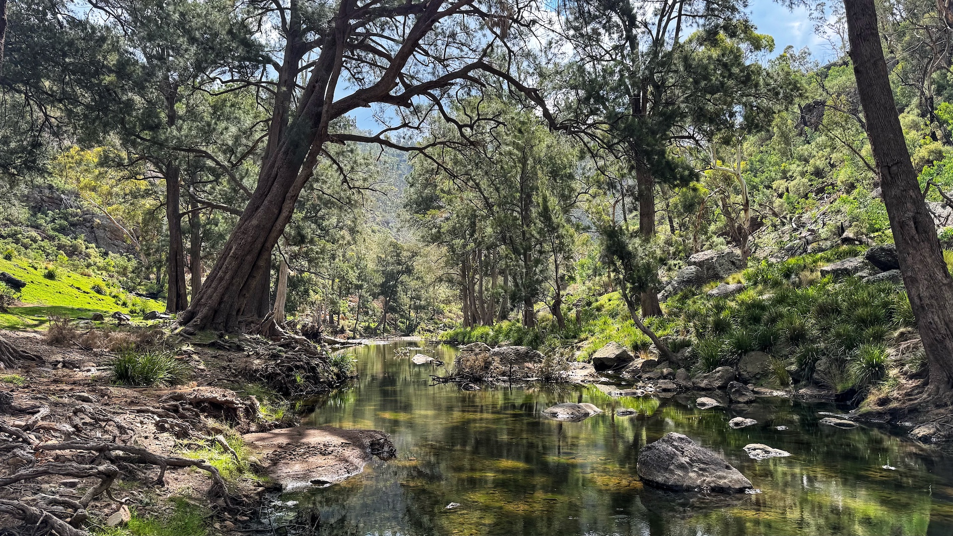 Turon River perspectives